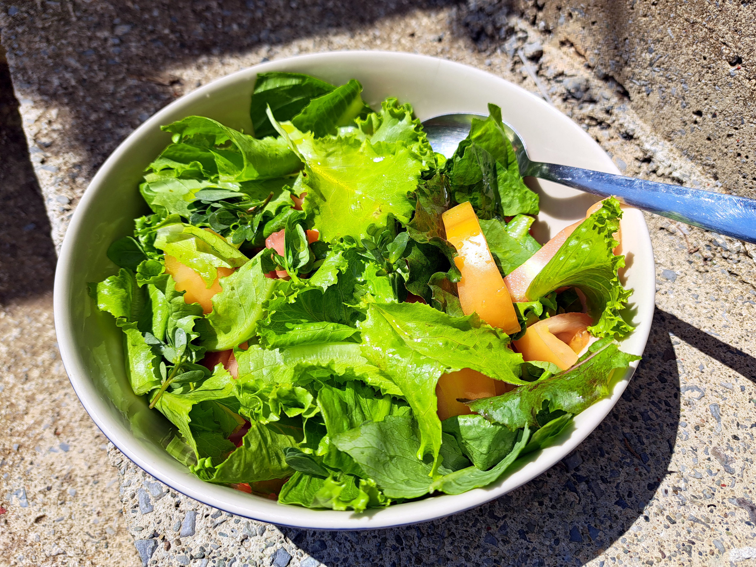 Insalata italiana